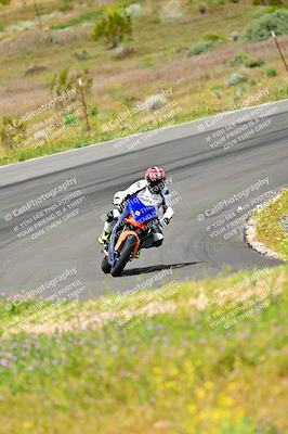 media/Apr-13-2024-Classic Track Day (Sat) [[9dd147332a]]/Group 3/Session 2 (Turns 5 and 6)/